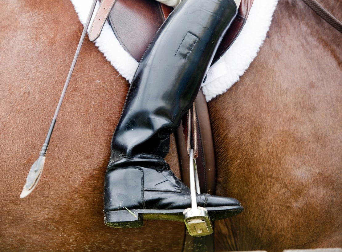 Schemmer_Peter Hind_Equestrian