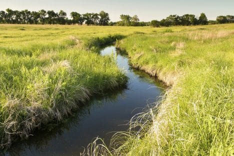 Schemmer Water Quality